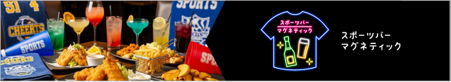 スポーツバー マグネティック